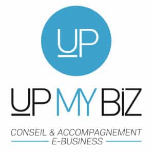 logo_upmybiz_8100