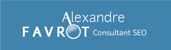 Consultant SEO Lyon, Alexandre Favrot